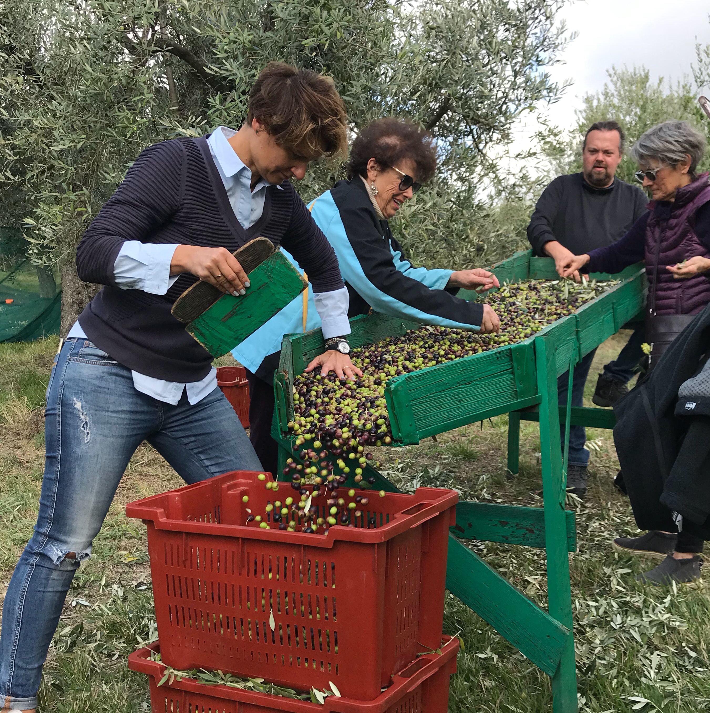 Tasting Umbria | Olive Harvest Tour recap 2018 Tasting Umbria | Olive Harvest Tour recap 2018