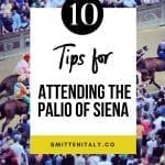 Experiencing the Palio di Siena: 10 tips for your trip