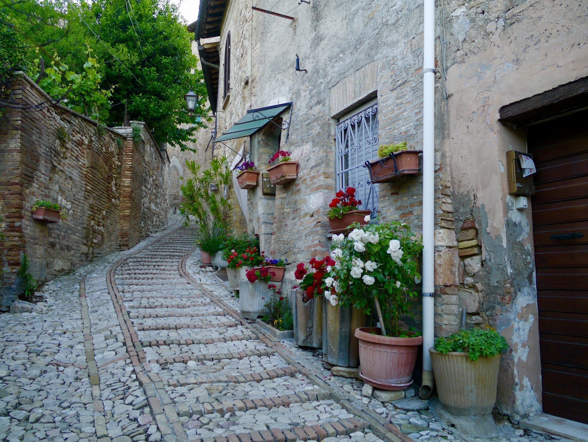 One Perfect Day Travel Guides: Montefalco, Umbria with Gusto Wine Tours