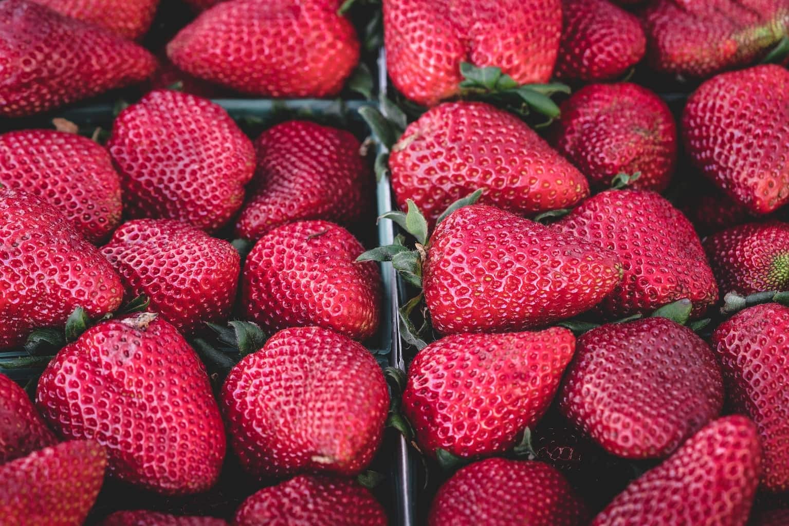 Housing Dilemmas + Balsamic Strawberries | amerryfeast.com