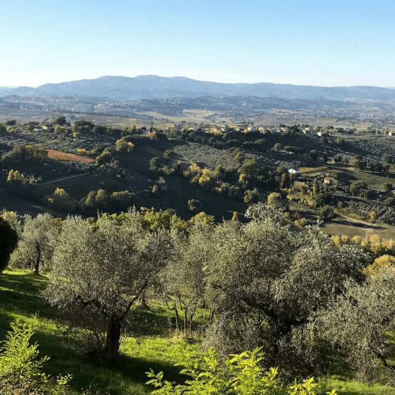 Tasting Umbria | The Olive Harvest Tour 2017