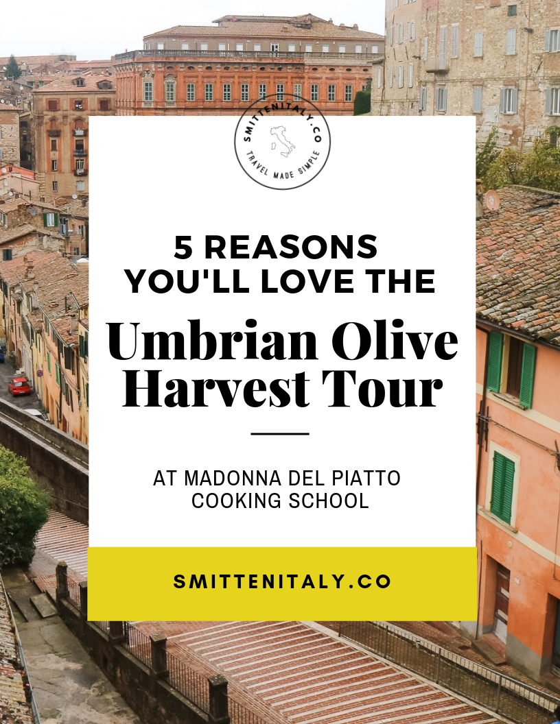 Tasting Umbria | Olive Harvest Tour recap 2018