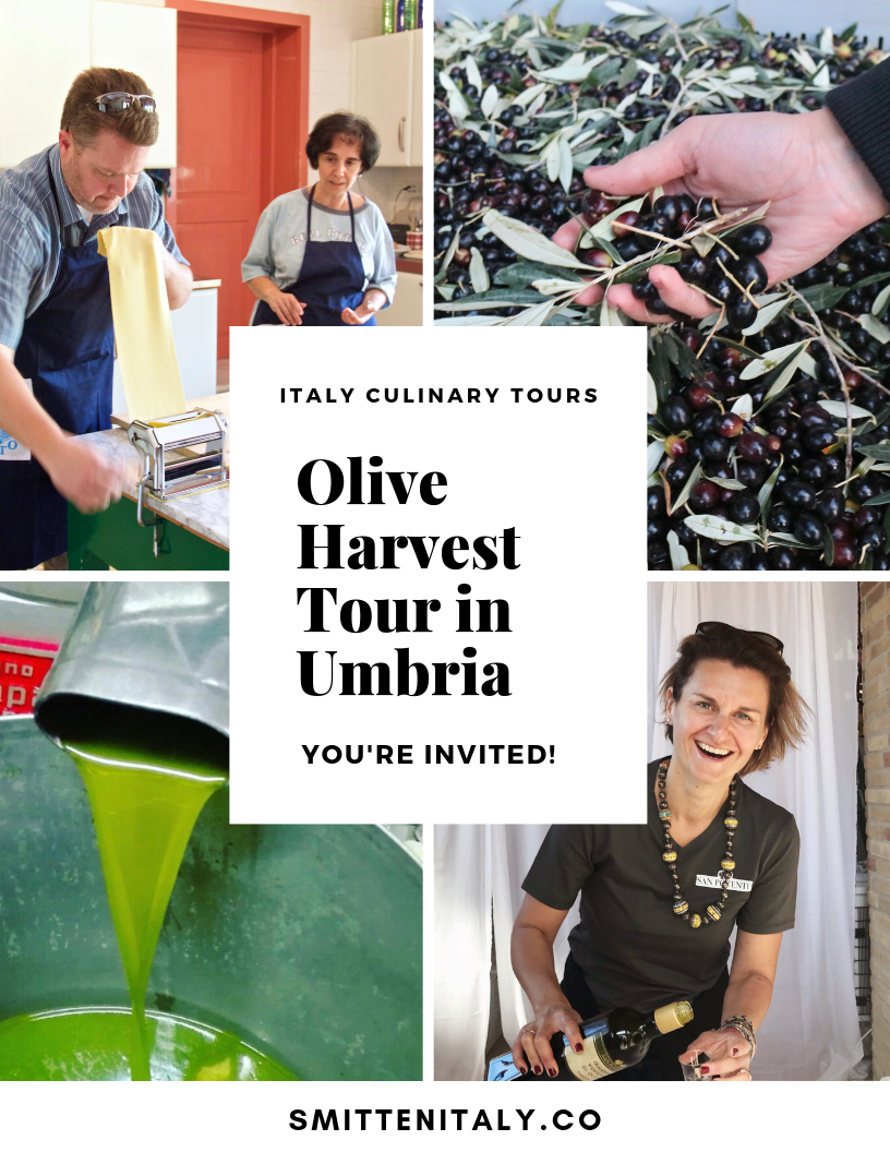 Italy Culinary Tours: Olive Harvest Tour