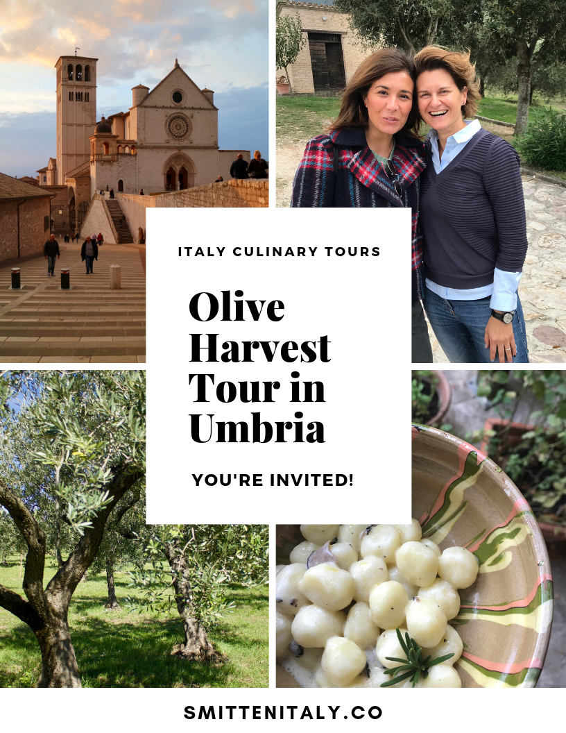 Italy Culinary Tours: Olive Harvest Tour
